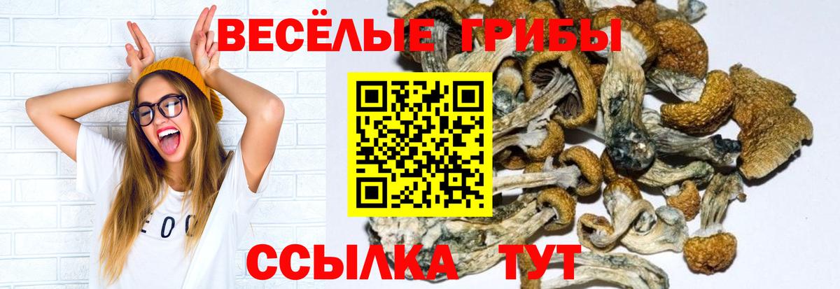 Павлово  Псилоцибиновые грибы Cubensis  Псилоцибиновые грибы ЛСД  Вход с VPN 